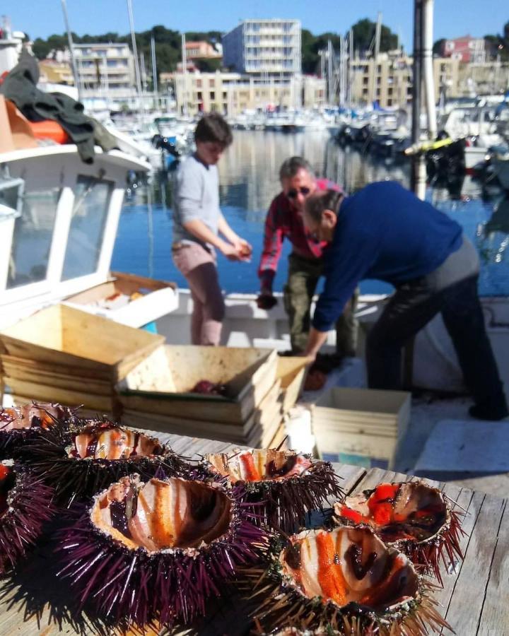 200M De La Plage ,3Mn Du Port A 50M Du Centre Ville カリー・ル・ルエ エクステリア 写真